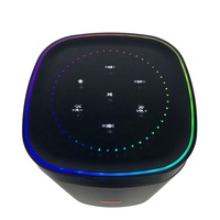 Haut-parleur Karaoké 8 pouces 60W avec micro filaire LED RGB et écho pour téléphone portable, utilisation extérieure, fêtes de famille et mariages