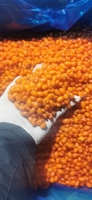 OEM/ODM kualitas tinggi jual panas pabrik Cina makanan buah beku untuk grosir dan ritel IQF laut beku Buckthorn seluruh HACCP BRC