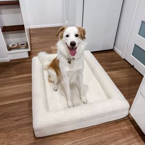 Durable Modern Plush <strong>Dog</strong> <strong>Bed</strong> High Quality Luxury Orthopedic <strong>Memory</strong> <strong>Foam</strong> <strong>Dog</strong> <strong>Bed</strong>