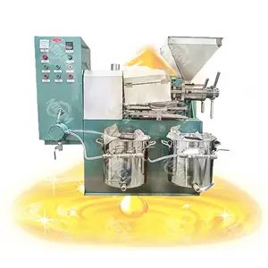 Screw Oil Press Machine Peanut Seed Soybean Seed Coconut Palm Sunflower Oil Extraction Processing Machine