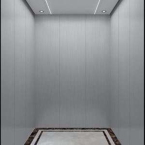 Ascensor Residencial de Alta Calidad para el Hogar, Elevador para Casa, Ascensor para el Hogar de Fábrica Otis - Product Image 3