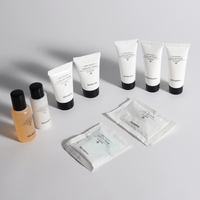 Vente en gros Mini hôtel voyage shampooing/après-shampooing ensembles de savon Mini savon et shampooing pour hôtel
