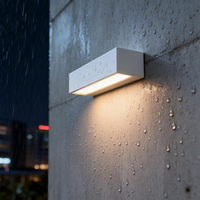 Lámpara de Pared LED de Tira Larga de 12W 18W 30W, Iluminación Exterior Impermeable para Porche/Patio/Jardín, Alto CRI 90, Vidrio Templado y Aluminio
