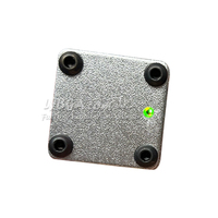 LY-40W-MINI Laser portatif IPG 974nm à lumière invisible, allumeur laser anti-moustiques personnalisé avec portée de 1m