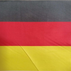 Banderas de los 32 Países Mejor Clasificados de la Copa <span class=keywords><strong>Mundial</strong></span> de Fútbol <span class=keywords><strong>2022</strong></span>, Edición Alemana, Tela de Poliéster, Asta de PP - Product Image 2