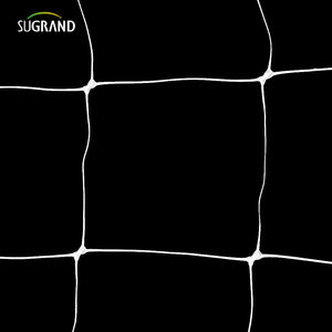 美国pp与UV保护8gsm蔬菜植物配套网在线甜豌豆攀登 - Product Image 5