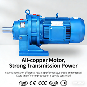 Gearbox Reducer Cycloidal 0.75-15KW Pengurang Kecepatan Cycloidal Rumah Besi Cor Dengan <span class=keywords><strong>Motor</strong></span> <span class=keywords><strong>AC</strong></span> Asinkron Tiga Fasa - Product Image 5
