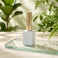 Flacon de vernis à ongles personnalisable 10/12/15 ml, contenant de gel avec logo personnalisé en gros pour salon, remplissage DIY et emballage marque privée