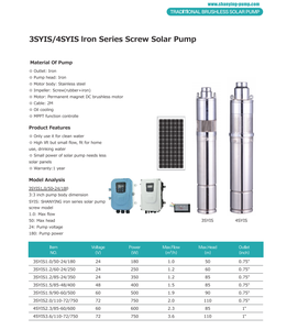<span class=keywords><strong>Pompe</strong></span> à <span class=keywords><strong>eau</strong></span> solaire en acier inoxydable 304, pompes immergées basse pression <span class=keywords><strong>pour</strong></span> l'irrigation agricole, personnalisable OEM - Product Image 2