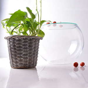 Large <strong>Bubble</strong> Bowl <strong>Vase</strong> with Glass Plate Lid - Product Image 2