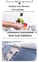 Qualité alimentaire 1mm-20mm Granulaire Siliphos Polyphosphate Antiscale Balls RO Traitement de l'eau Cristal Tensioactif Emballé dans des Sacs