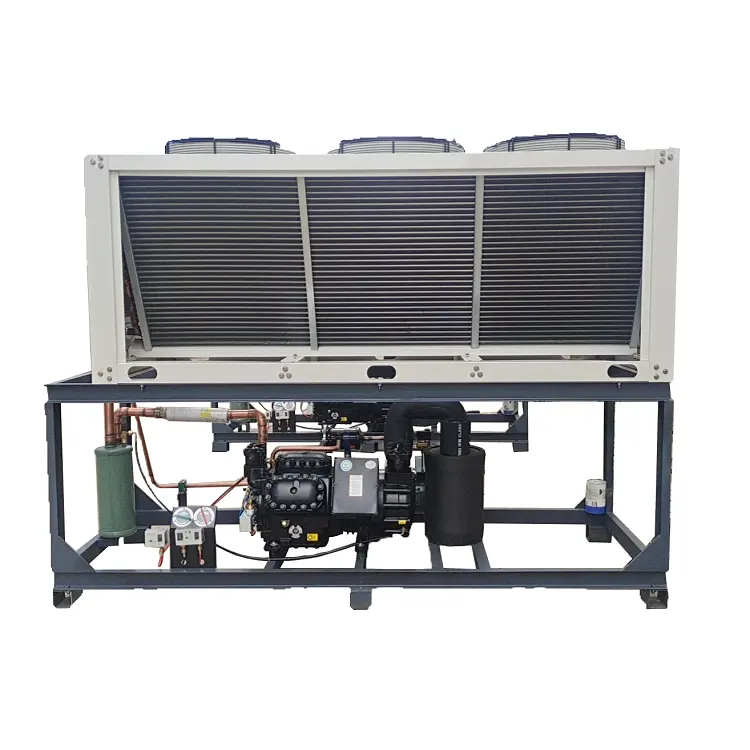 Medical Industrial Piston Compressor Air-cooled Unit 3hp Cold Room Compressor Condensing Unit Refrigeration of Copeland