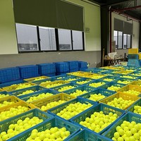 Balles de padel approuvées FIP, pressurisées, haute qualité, logo personnalisé, fabrication OEM, vente en gros, approvisionnement en vrac, entraînement, match, padel professionnel