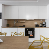 Mueble de Cocina de Acero Inoxidable 304 de Fábrica, Resistente a la Oxidación, Diseño de Una Línea, Duradero y Robusto para Apartamento