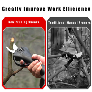 Prime Choice 21V Lithium Battery Power <b>Garden</b> <b>Tool</b> for Technical Tree Pruning 500W Professional Shear <b>Set</b> NSCD-T168 Featuring a - Product Image 4