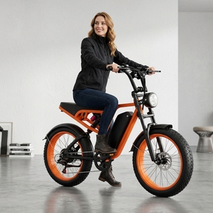 7 Speed Brushless Lithium Battery Mountain Bike 52V 750W 20AH for Urban Commuting Student Use OEM Factory Supply - Product Image 1