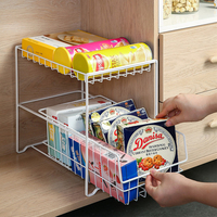 Étagère multifonctionnelle en fil métallique pour la maison Accessoires de cuisine 2 couches Tiroir pour épices, bouteilles et bocaux Rack pour évier Push Pull