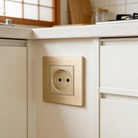 Prise murale double vitrage UE avec interrupteur intégré 16A, anti-rayures, pour hôtel de luxe