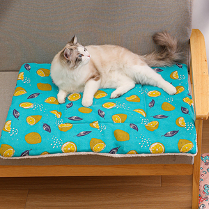 Vente en gros de tapis en molleton mignon pour chien chat - Product Image 3