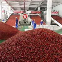 Séchoir industriel pour piments séchés, paprika, ail, gingembre, oignon, poivre, épices et légumes
