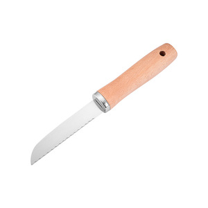 Fruit Knife 3.9 In Polished Straight Edge Blade Wooden Handle Multi Purpose Kitchen Tool - Product Image 3