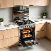 Four à convection électrique à gaz haut de gamme 80L, 4 brûleurs, allumage électronique, acier inoxydable miroir, porte en verre double couche