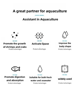 Additif alimentaire à base d'acides <span class=keywords><strong>biliaires</strong></span> pour améliorer la santé hépatique des carpes herbivores, des tilapias et des barres d'aquaculture – Hépatoprotecteur et promoteur de croissance - Product Image 4