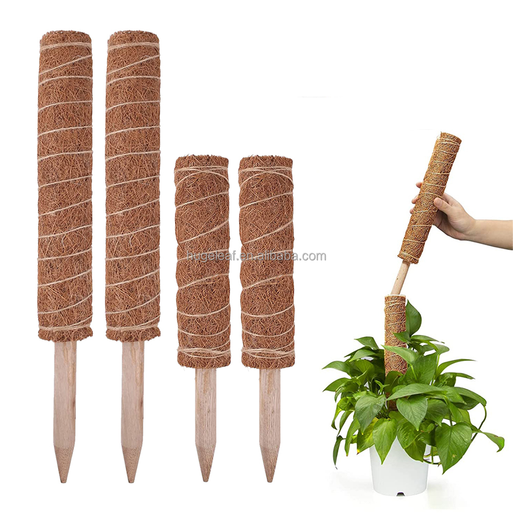 fiber sticks for plants