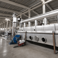 Salt Drying Screening and Packing Line for Edible and Industrial Salt