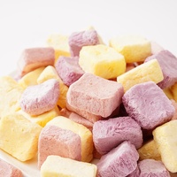 Klein Formaat Gevriesdroogde Soild Yoghurtblokjes Gemengd Fruit Smaakkubus