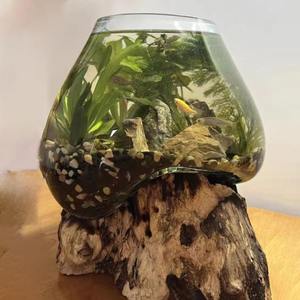 Vetro fuso su legno scultoreo interno/esterno pianta terrario vaso elegante Design unico <span class=keywords><strong>per</strong></span> ufficio soggiorno festa regalo - Product Image 4