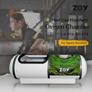 Zoy garantili kalite hepsi bir arada hiperbarik oksijen odaları tıbbi hiperbarik oksijen oda sabit tip taşınabilir spa kapsülü