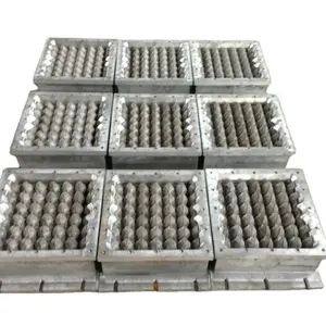 Recycle Paper Pulp Molding Egg Tray Packing Machine /mould Famous In Philippines