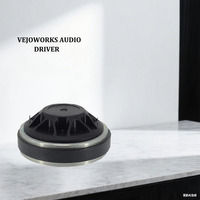 Haut-parleur de compression professionnel série VPV 1,35'' 2'' 4'' VC 80W 120W 320W