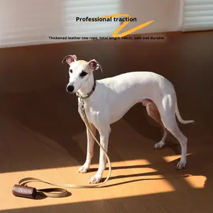 Correa para Perro de Material PU Ecológico Sólido con Cierre de Botón para Cachorros Medianos/Grandes, Antidesgarro, Suministros para Mascotas - Product Image 2