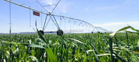 Nouvelle machine d'irrigation agricole pivotante en métal 2025, compatible IoT, avec moteur et boîte de vitesses pour usage agricole