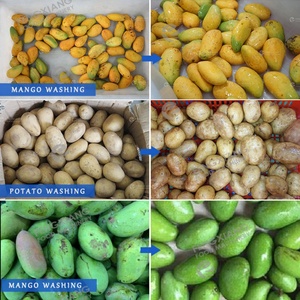 Commercial Mango Air Bubble Washing <b>Machine</b> Mango Fruit Washer Equipment 1500-3000KG/H - Product Image 4