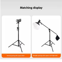 Trépied d'éclairage photographique en acier réglable 2-en-1 de 380cm avec bras suspendu pour la photographie
