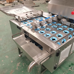 Machine professionnelle de séparation des blancs <span class=keywords><strong>et</strong></span> des jaunes <span class=keywords><strong>d</strong></span>'œufs pour <span class=keywords><strong>le</strong></span> traitement commercial des œufs avec une séparation propre - Product Image 5