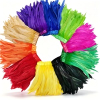 Plumes de coq colorées en gros de 25-30 cm, franges et garnitures pour tenues de carnaval, sacs à dos et décorations de coiffes