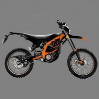 Autocollants de moto de haute qualité TZ253, pièces de performance pour moto, film métallique, design personnalisé pour SURRON Light Bee