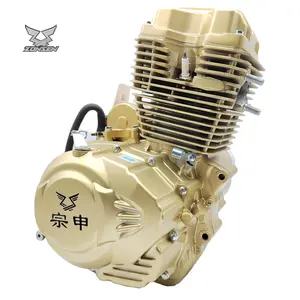 Çin Zongshen fabrika CG300 Hanwei 1 silindirli su soğutma motosiklet 300cc motor ZS174MN-2 Honda Yamaha için