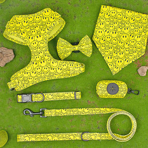 宠物精品少女狗带市场商场购买小狗配件项圈和皮带套件大狗定制品牌标志 - Product Image 6