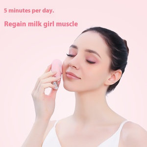 Cepillo de Masaje Facial Eléctrico de Modo Dual OEM al por Mayor con Cabezales de Microfibra para Control de Grasa y Minimización de Poros, Uso Doméstico, Sónico - Product Image 3