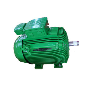 Motor de Inducción Trifásico Antiexplosión de Alta Eficiencia WEG W21 4P 15KW-380V-50Hz, Motor de Jaula de Ardilla de Baja Tensión CA W21 - Product Image 4