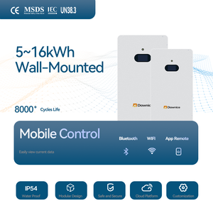 Batería de Litio Dawnice de 51.2V 300ah 400ah para Montaje en Pared, Powerwall de 10kWh 5kWh, Batería de Almacenamiento de Energía Solar para el Hogar - Product Image 4