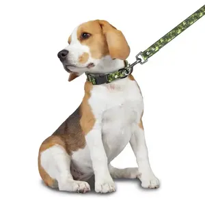 High Quality Nylon Dog Leashes With Comfortable Padded Handle laisse de chien nylon