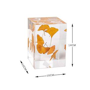 Adorno Decorativo Rectangular de Acrílico con Hojas de Ginkgo, Regalo Moderno de Lujo Ligero para el Hogar, Sala de Estar, Entrada - Product Image 6