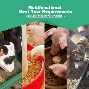 Ligne de production complète d'aliments pour volailles, durable, multifonctionnelle, avec unité de broyage, de mélange, de granulation, de refroidissement et d'emballage automatiques - Product Image 6