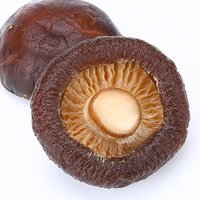Vente en gros de champignons Shiitake séchés comestibles déshydratés de haute qualité